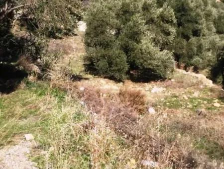 Grundstück Zu Verkaufen Mit Meerblick Mit 52000M2 Parzelle In Mugla Provinz Datca Bezirk Masoudye Nachbarschaft