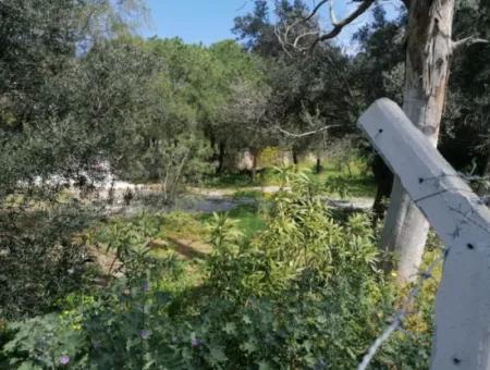 Grundstück Zu Verkaufen Mit 4000M2 Touristischen Entwicklung Am Meer In Bodrum Akyarlar