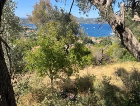 Grundstück Zum Verkauf In Marmaris Selimiye Nachbarschaft Mit Meerblick 5200M2, Geeignet Für Den Bau Von 2 Villen Oder Hotelbau