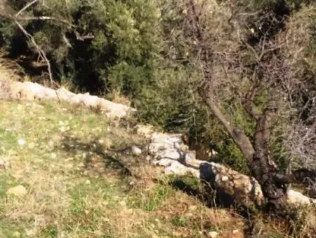 Land For Sale With Sea View With 52000M2 Parcel In Mugla Province Datca District Masoudye Neighborhood