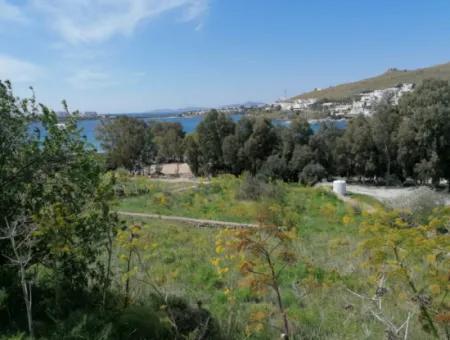 Land For Sale With 4000M2 Tourism Development By The Sea In Bodrum Akyarlar