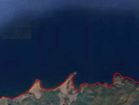 Land For Sale In Avlana Neighborhood Of Datca District Close To The Sea Of 5200M2 Suitable For Investment